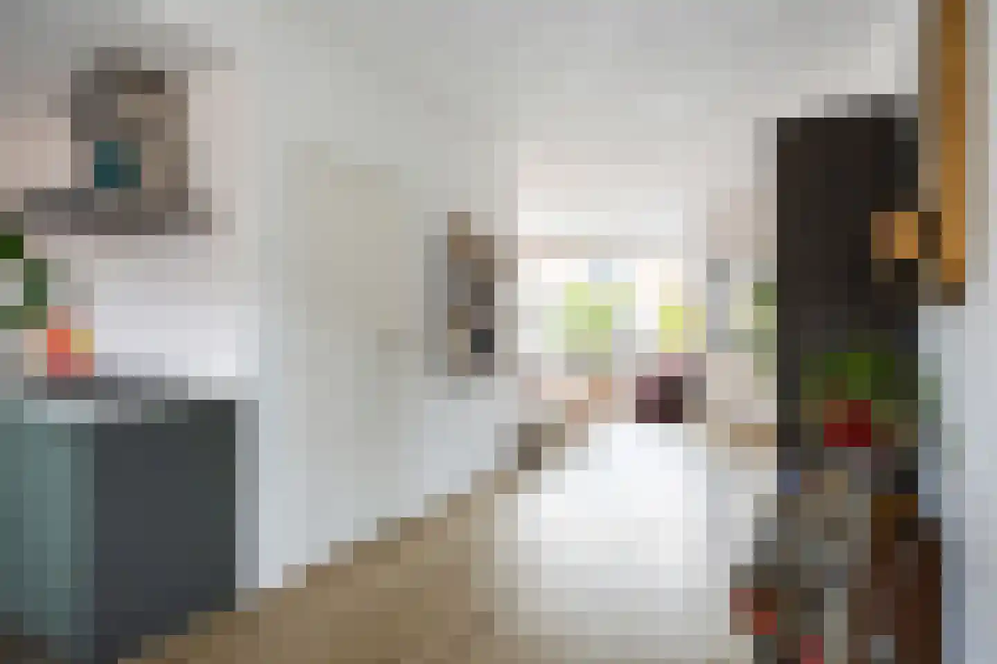 Dahliastraat 57 Winsum thumbnail 15