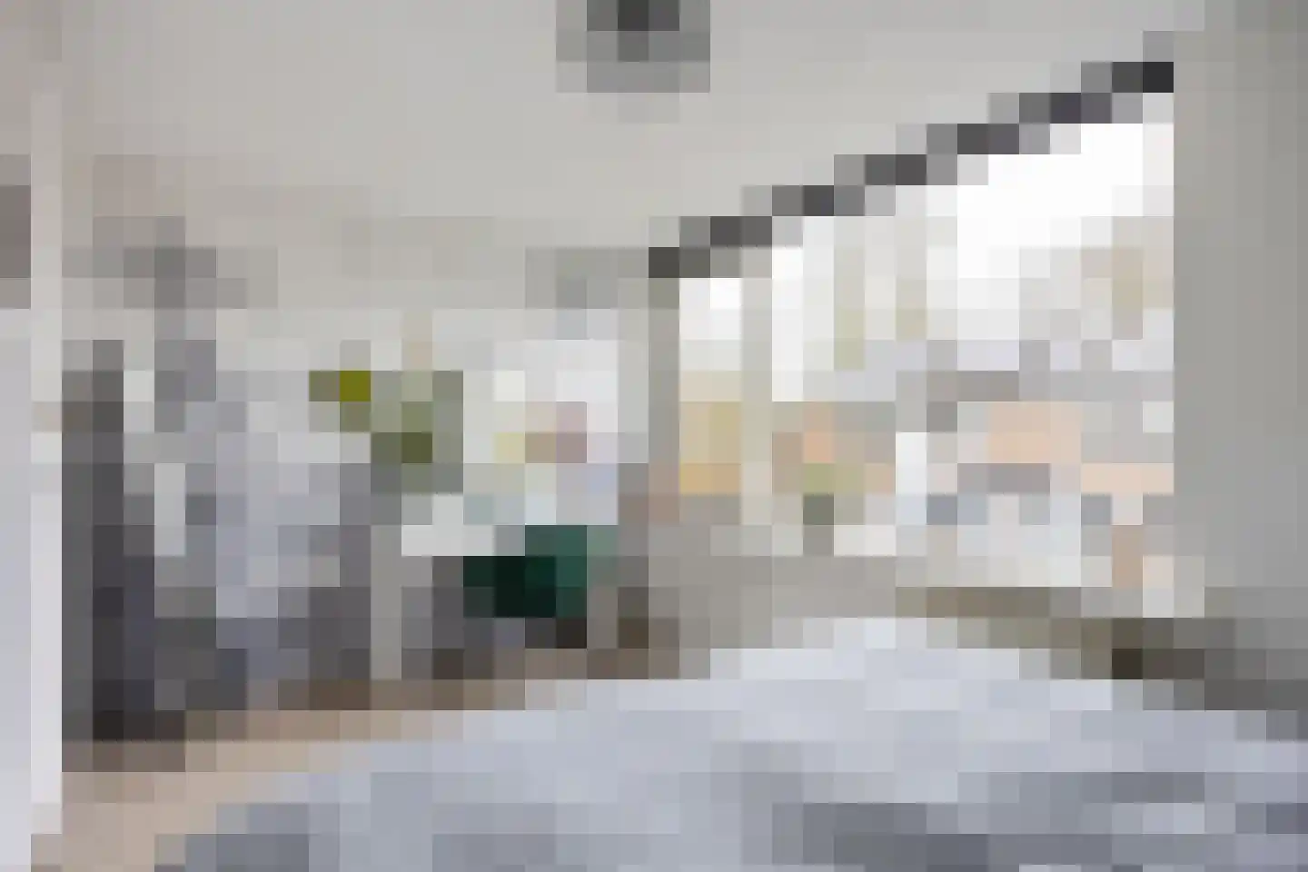 Dahliastraat 57 Winsum thumbnail 25