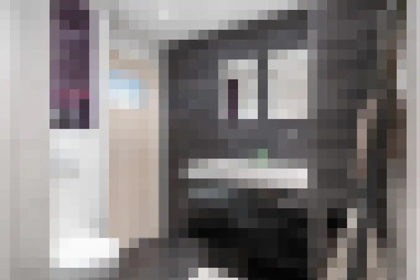 Dahliastraat 57 Winsum thumbnail 29