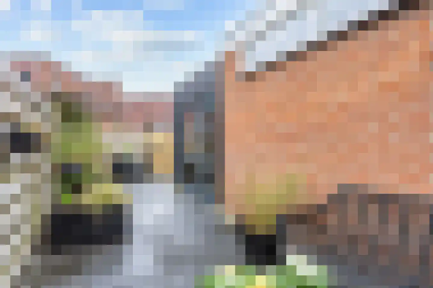 Dahliastraat 57 Winsum thumbnail 33