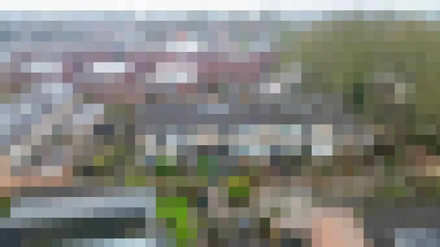 Dahliastraat 57 Winsum thumbnail 39