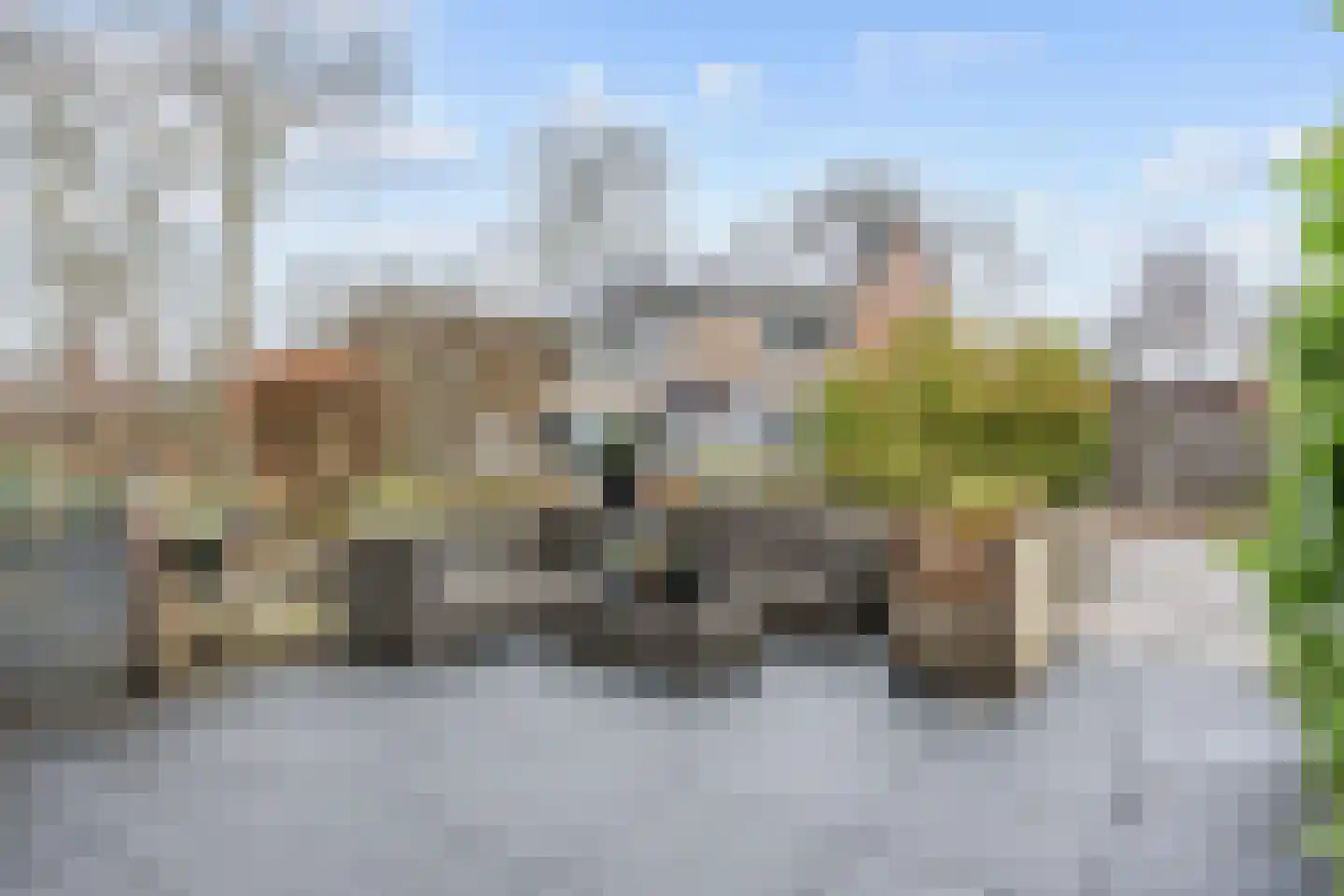 Dahliastraat 57 Winsum thumbnail 4