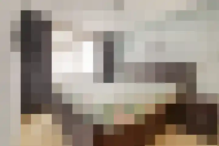 Dahliastraat 58 Nieuwendijk thumbnail 17