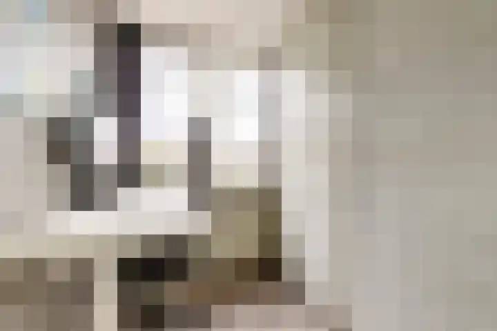 Dahliastraat 58 Nieuwendijk thumbnail 21