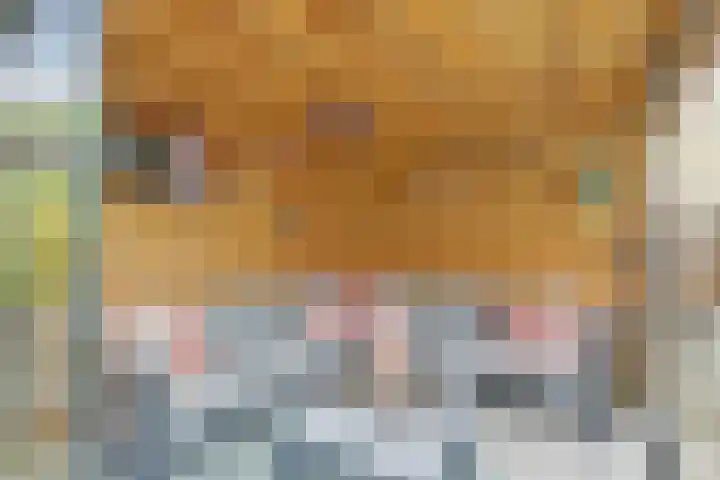 Dahliastraat 58 Nieuwendijk thumbnail 31