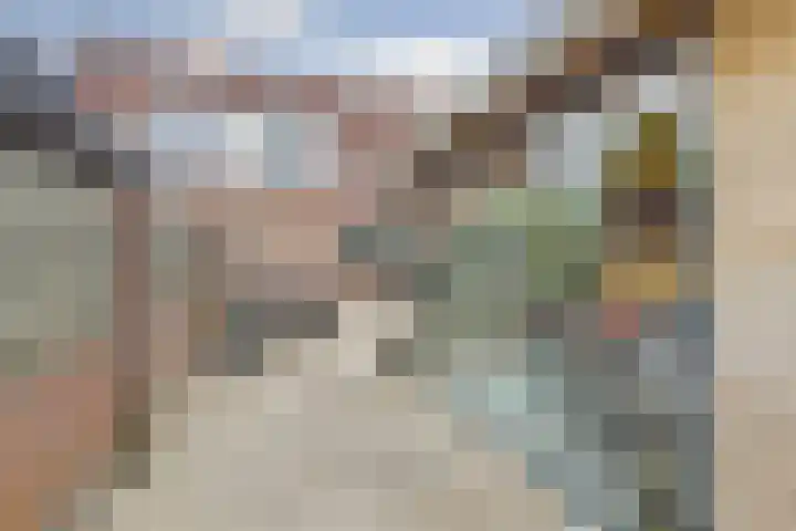 Dahliastraat 58 Nieuwendijk thumbnail 32