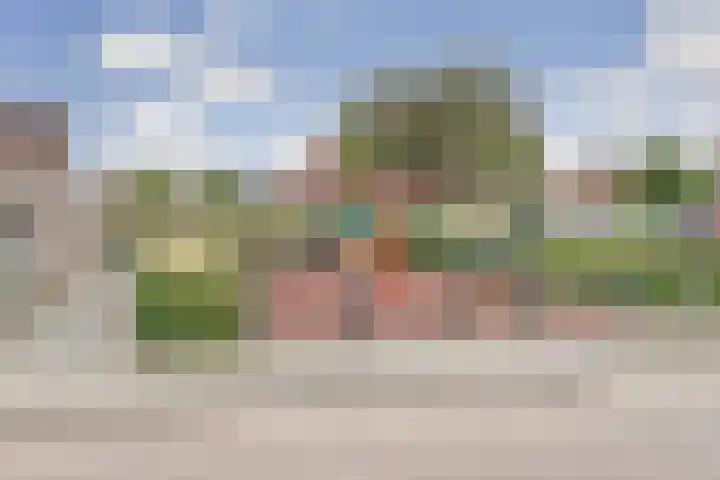 Dahliastraat 58 Nieuwendijk thumbnail 37