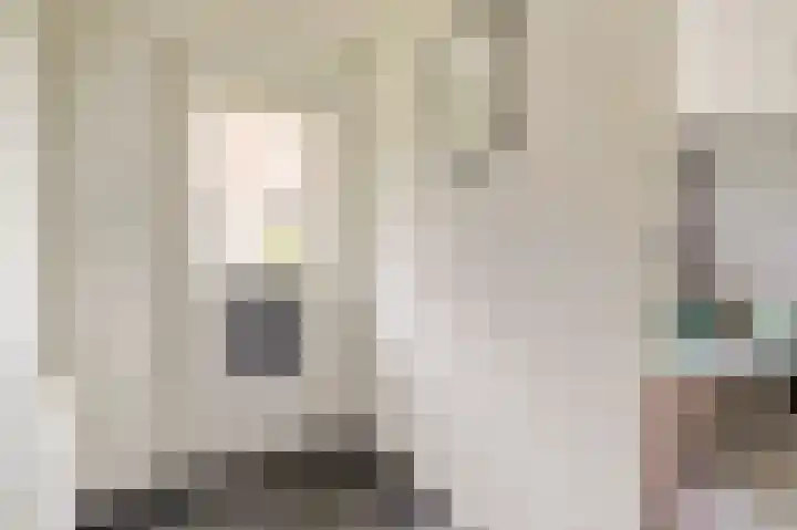 Dahliastraat 58 Nieuwendijk thumbnail 4
