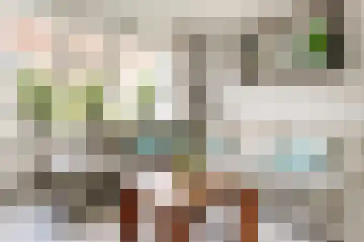 Dahliastraat 58 Nieuwendijk thumbnail 6