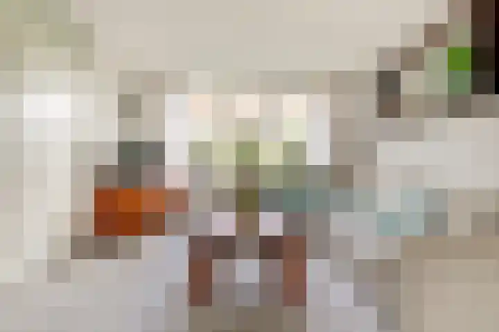 Dahliastraat 58 Nieuwendijk thumbnail 7