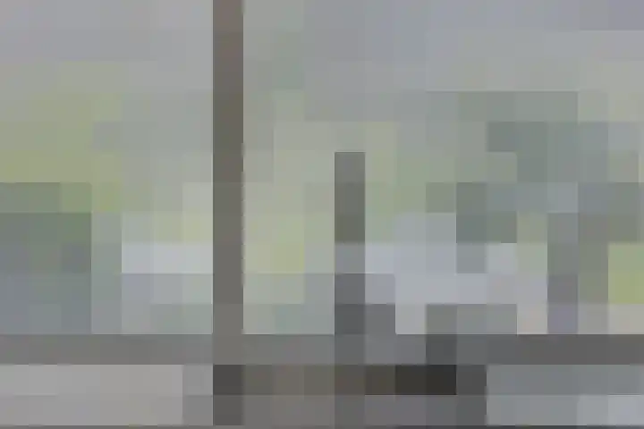 Dahliastraat 6 Bergen op Zoom thumbnail 12
