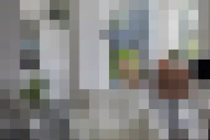 Dahliastraat 6 Bergen op Zoom thumbnail 13