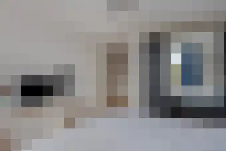Dahliastraat 6 Bergen op Zoom thumbnail 17