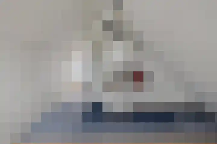 Dahliastraat 6 Bergen op Zoom thumbnail 27