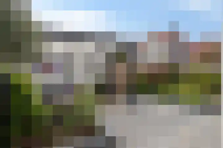 Dahliastraat 6 Bergen op Zoom thumbnail 29