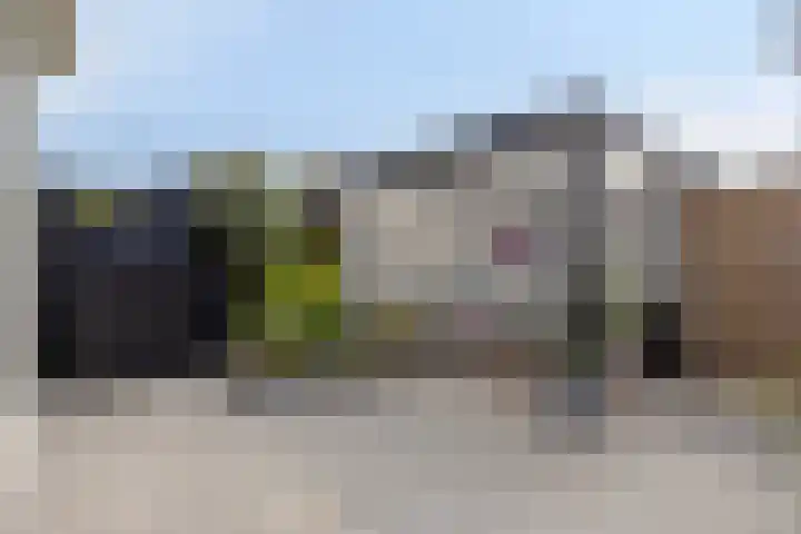 Dahliastraat 6 Bergen op Zoom thumbnail 30