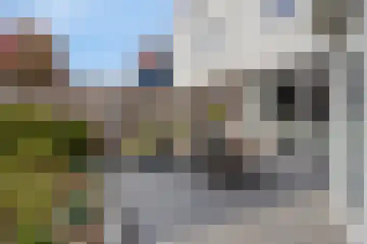 Dahliastraat 6 Bergen op Zoom thumbnail 31
