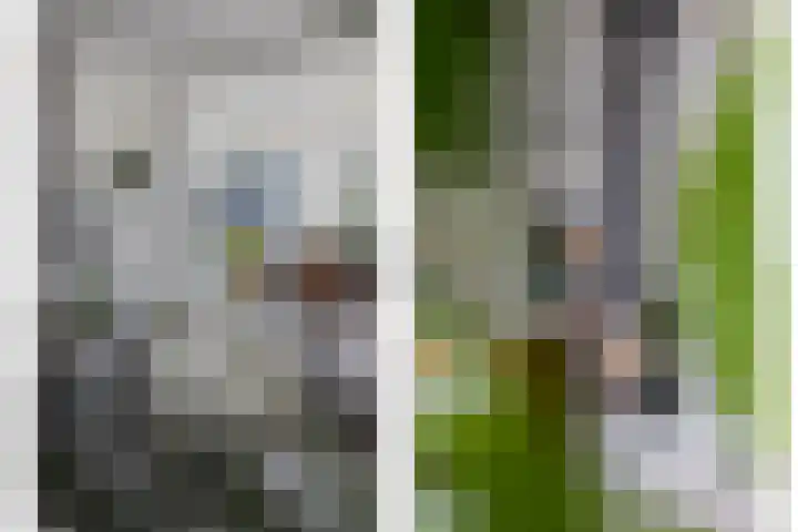 Dahliastraat 6 Bergen op Zoom thumbnail 35