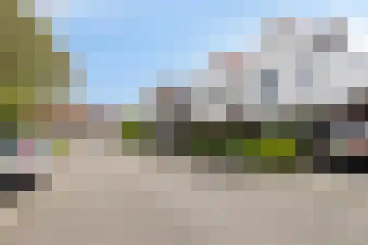 Dahliastraat 6 Bergen op Zoom thumbnail 37