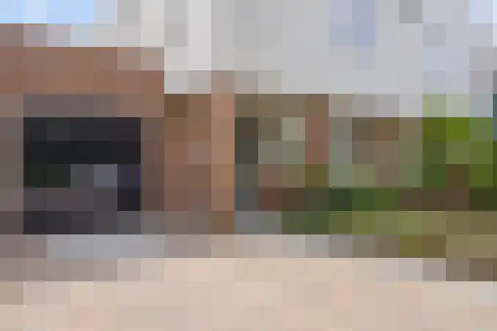 Dahliastraat 6 Bergen op Zoom thumbnail 39