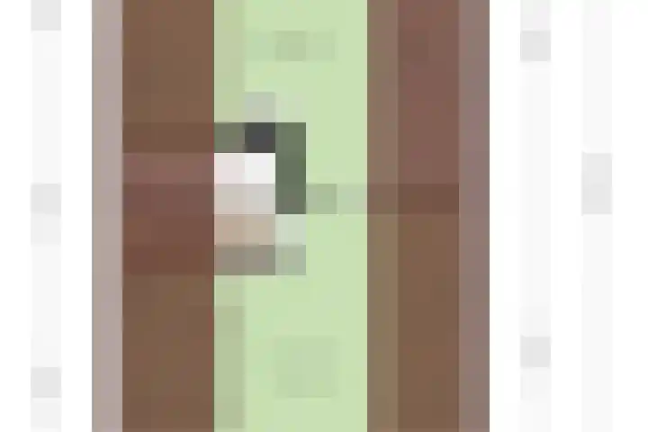 Dahliastraat 6 Bergen op Zoom thumbnail 43