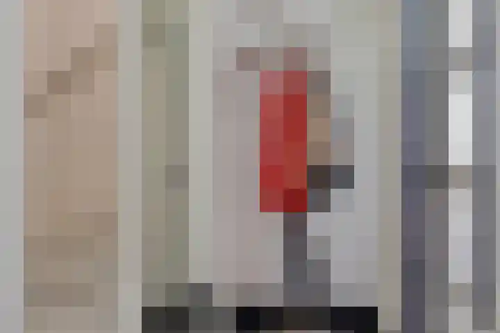 Dahliastraat 6 Bergen op Zoom thumbnail 5