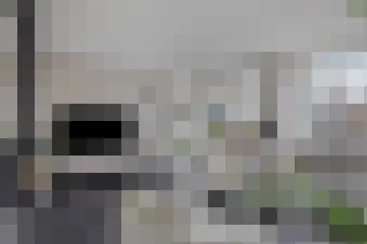 Dahliastraat 6 Bergen op Zoom thumbnail 7