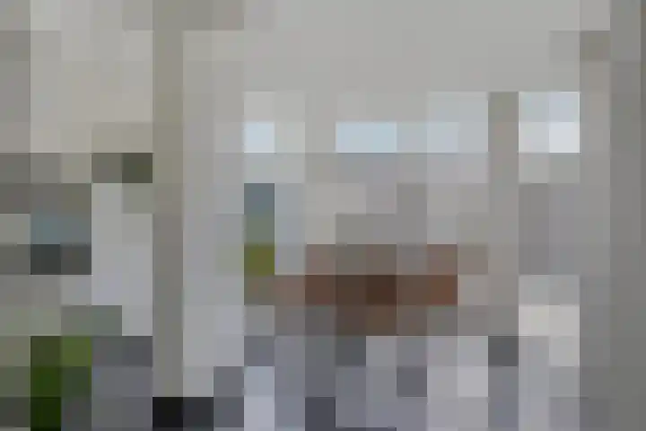Dahliastraat 6 Bergen op Zoom thumbnail 8