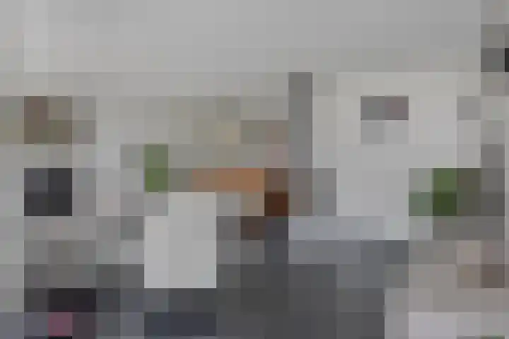 Dahliastraat 6 Bergen op Zoom thumbnail 9