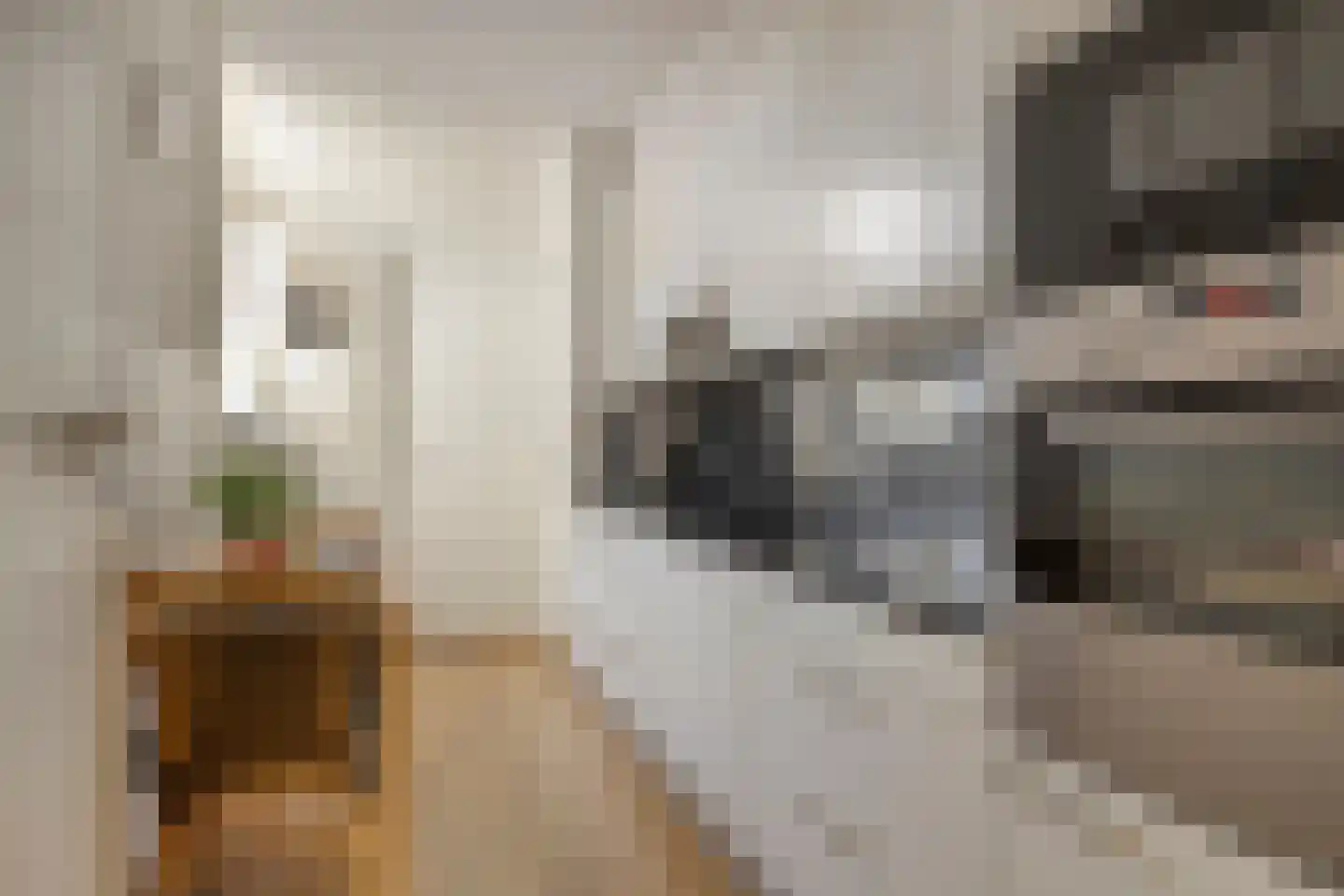 Dahliastraat 6 Breda thumbnail 12
