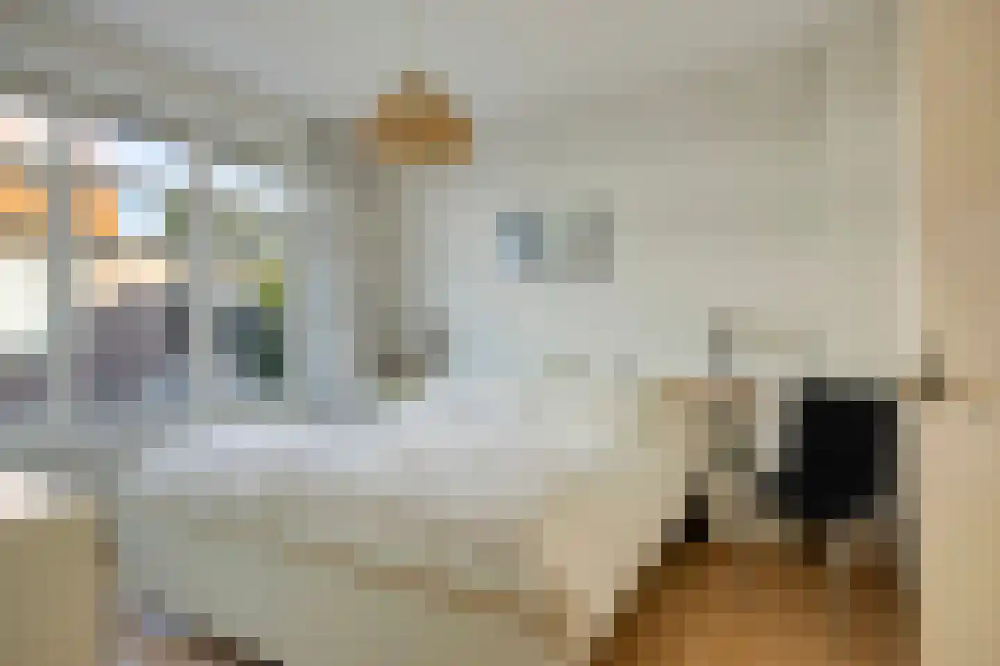 Dahliastraat 6 Breda thumbnail 20