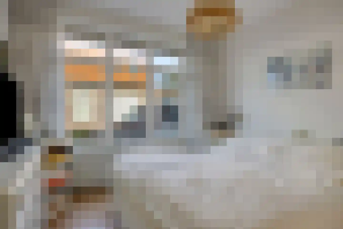 Dahliastraat 6 Breda thumbnail 21