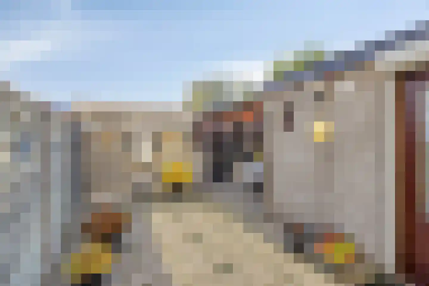 Dahliastraat 6 Breda thumbnail 26