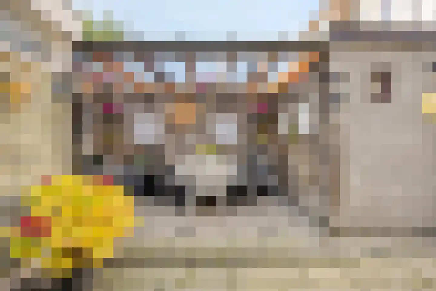 Dahliastraat 6 Breda thumbnail 28