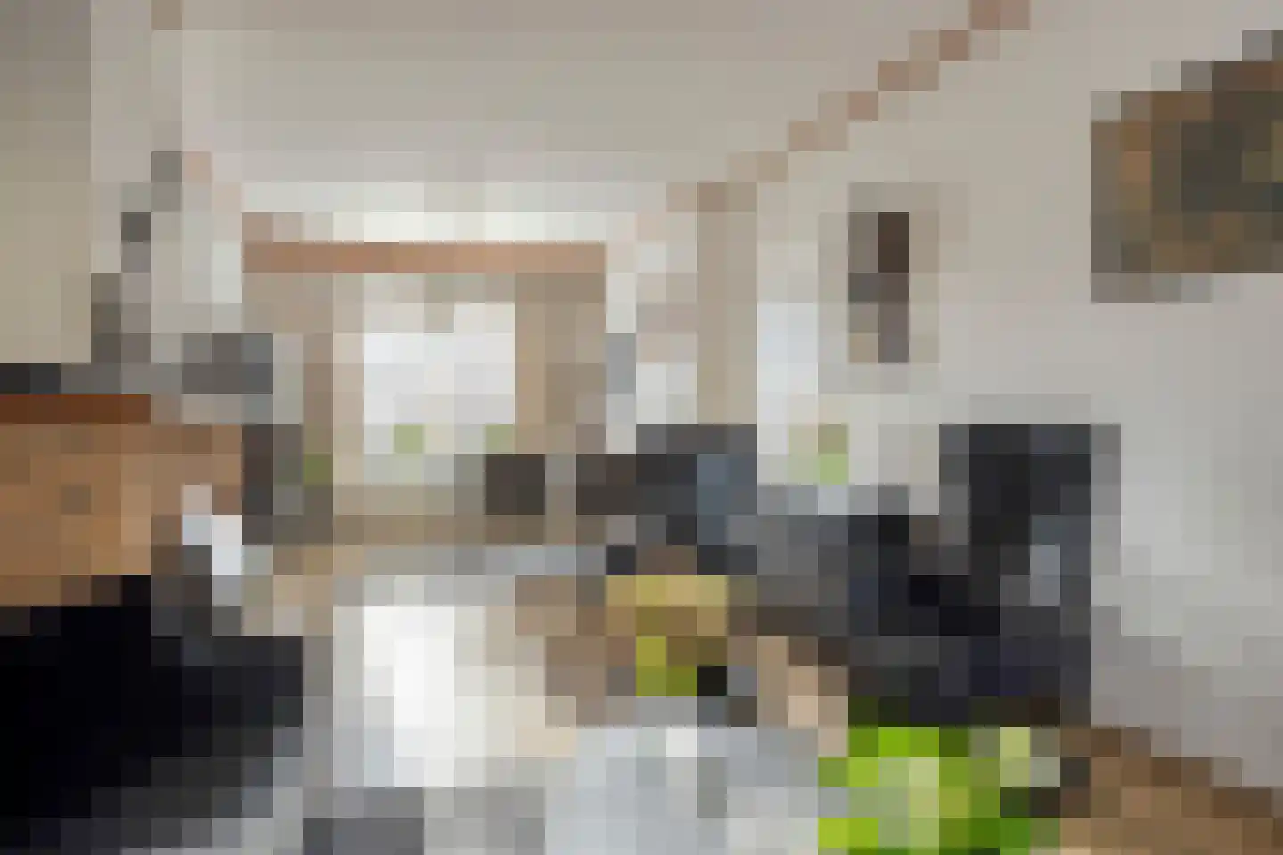 Dahliastraat 6 Breda thumbnail 6