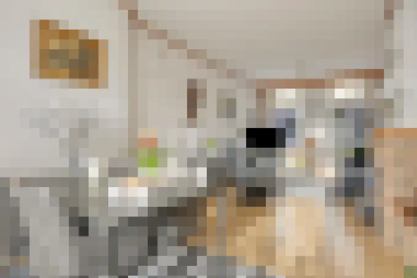 Dahliastraat 6 Breda thumbnail 7
