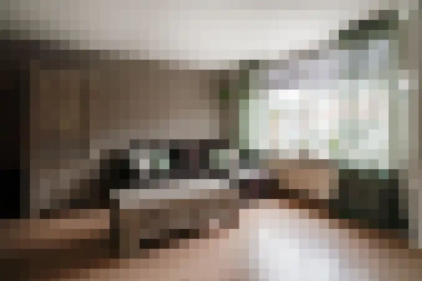 Dahliastraat 6 Lobith thumbnail 11