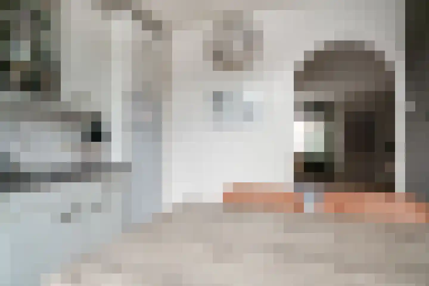 Dahliastraat 6 Lobith thumbnail 17