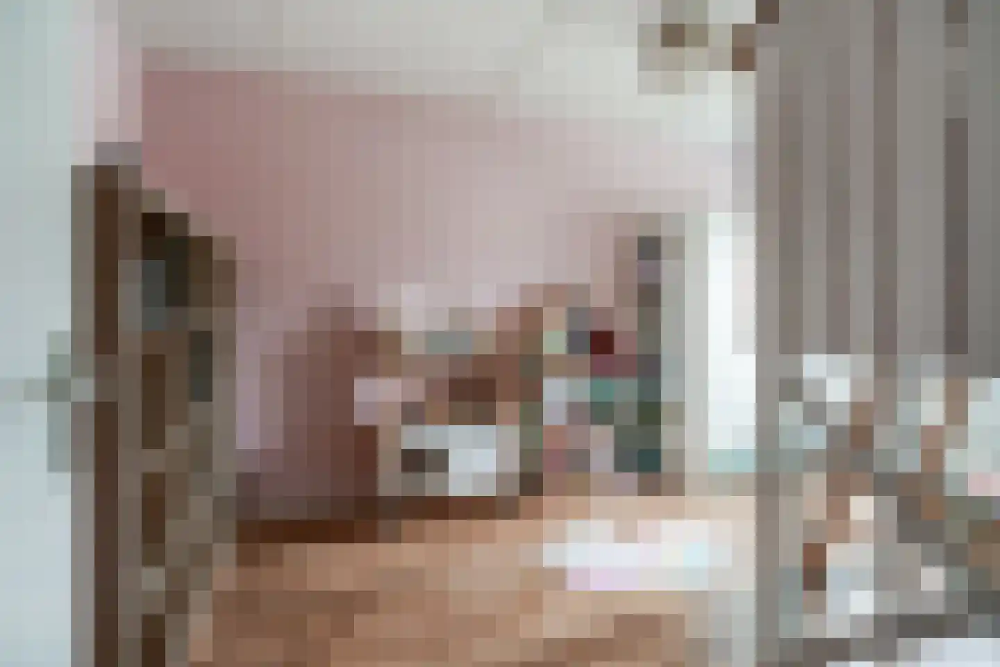 Dahliastraat 6 Lobith thumbnail 22