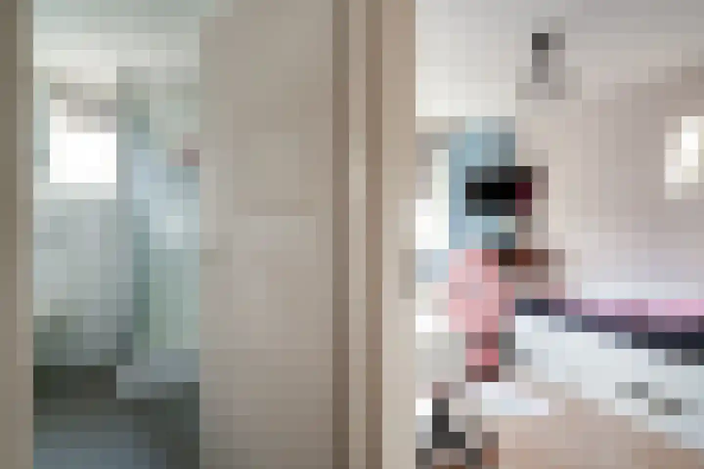 Dahliastraat 6 Lobith thumbnail 30