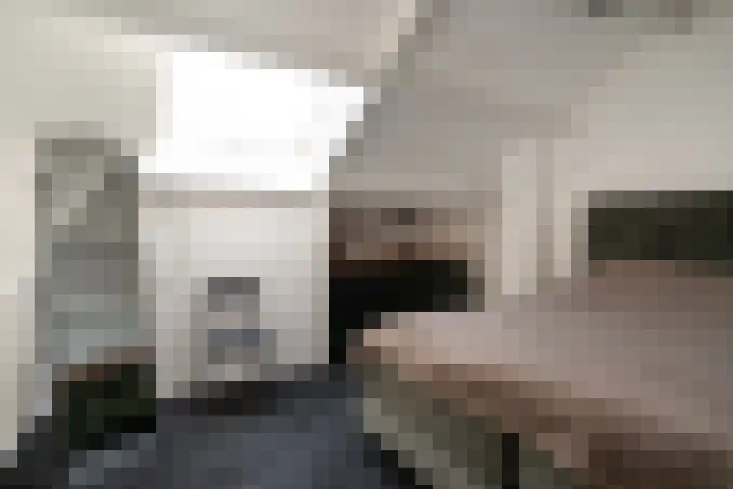 Dahliastraat 6 Lobith thumbnail 35