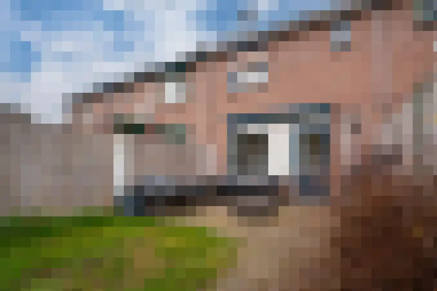 Dahliastraat 6 Lobith thumbnail 41