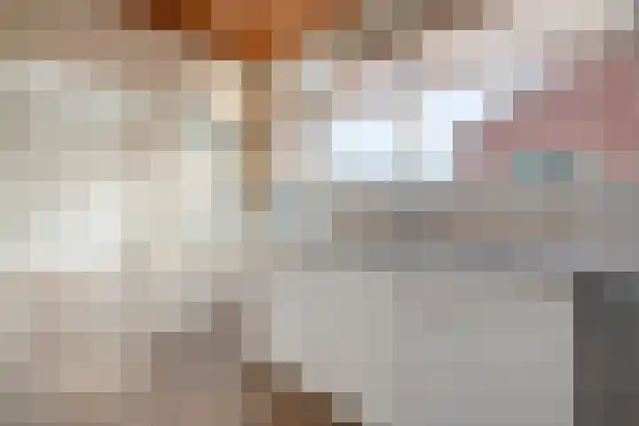 Dahliastraat 6 Raalte thumbnail 10