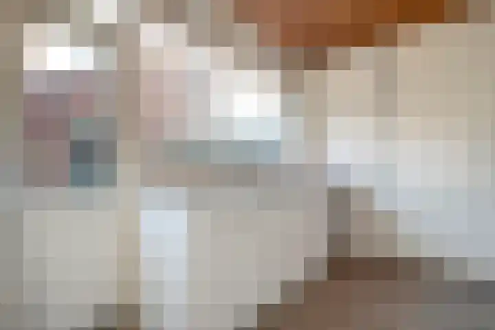 Dahliastraat 6 Raalte thumbnail 11
