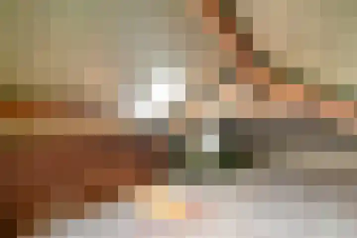 Dahliastraat 6 Raalte thumbnail 23