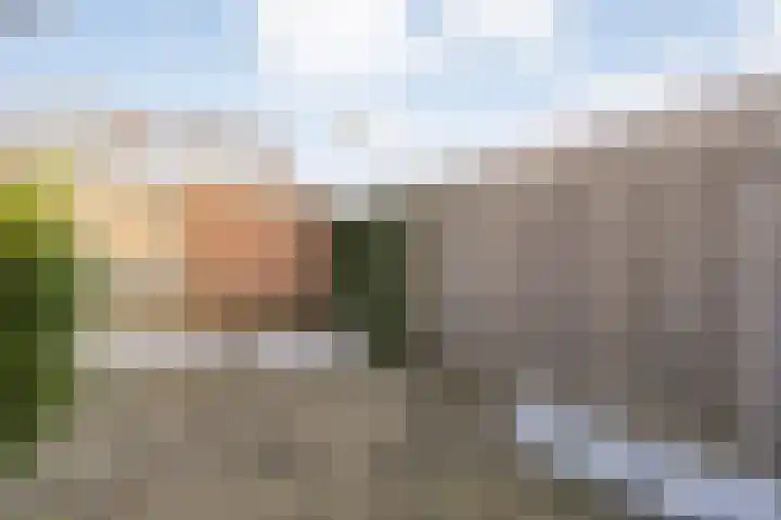 Dahliastraat 6 Raalte thumbnail 31