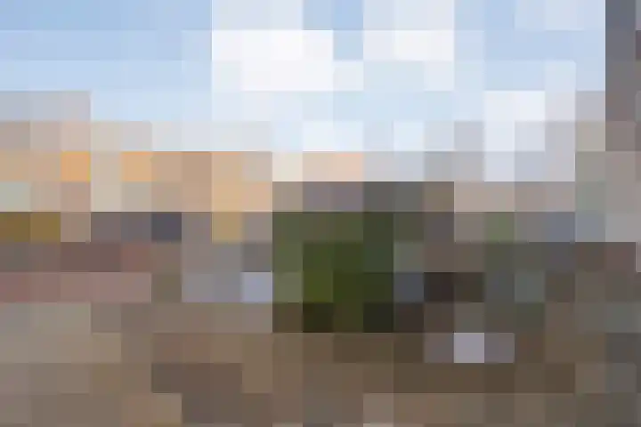 Dahliastraat 6 Raalte thumbnail 4