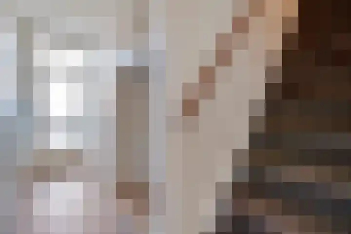 Dahliastraat 6 Raalte thumbnail 5