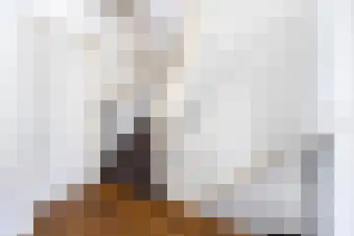 Dahliastraat 6 Rijswijk thumbnail 14