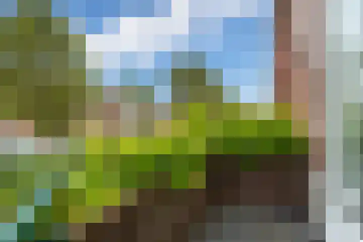 Dahliastraat 6 Rijswijk thumbnail 18